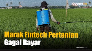 Marak Fintech Pertanian Gagal Bayar, OJK Tempuh Jalur Sanksi dan Pemeriksaan