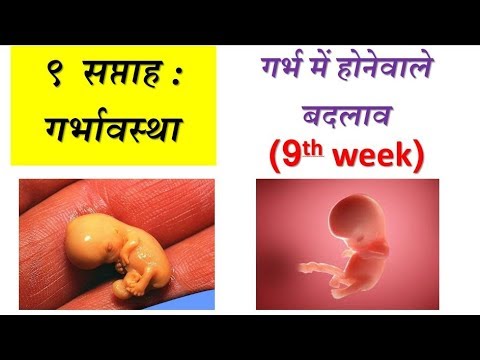 Baby Growth Chart During Pregnancy In Hindi