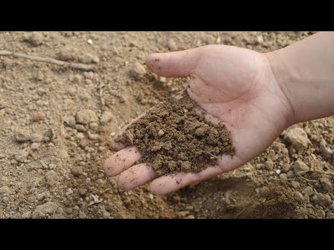 Vídeo: Was significa terra cultivada?
