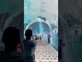 Explore a VR world where imagination comes to life