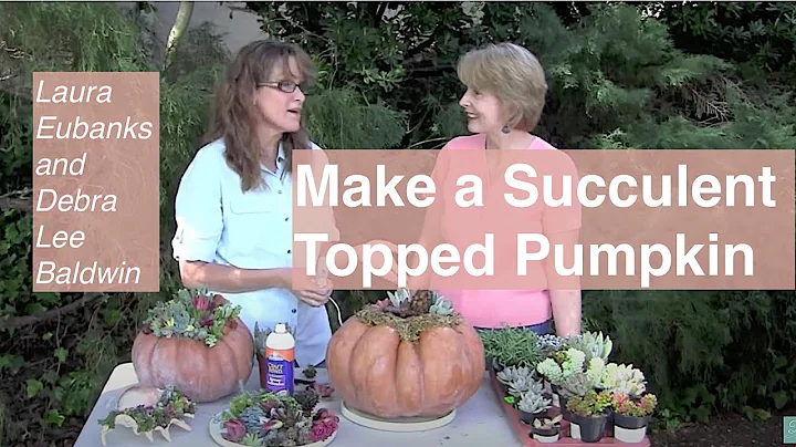 Make a Succulent-Topped Pumpkin with Laura Eubanks...