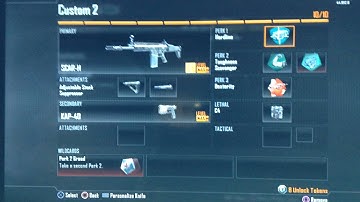 Bo2 Scar-H Best Class Set up