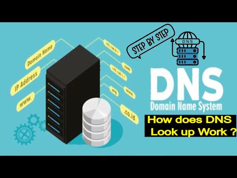 How do I find my DNS lookup?