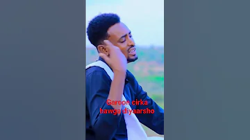 Xasan Yare Dhaanto Diyaarada 