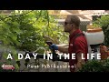 A Day In The Life: Pest Professional