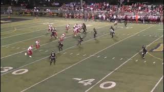 DB Makes Nice INT in Cover 2