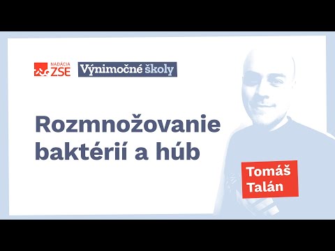 Video: Rozmnožovanie húb. Metódy rozmnožovania húb