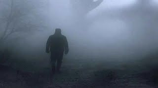 The Call of the Wild: A Journey of Survival and Self-Discovery
