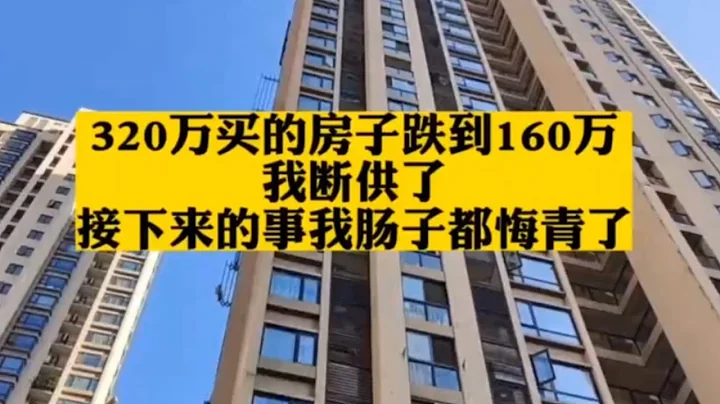 320万买的房子跌到160万，我断供了，接下来的事我肠子都悔青了 - 天天要闻