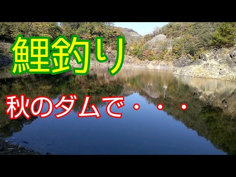 【鯉釣り】１発大型を狙うのはダムだな！