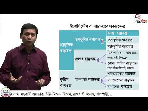 ভিডিও: এপিডার্মিস কি গভীরতম স্তর?