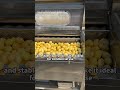 #PotatoPeeler #FoodProcessingMachine #IndustrialEquipment #PotatoWashingMachine #FoodMachinery
