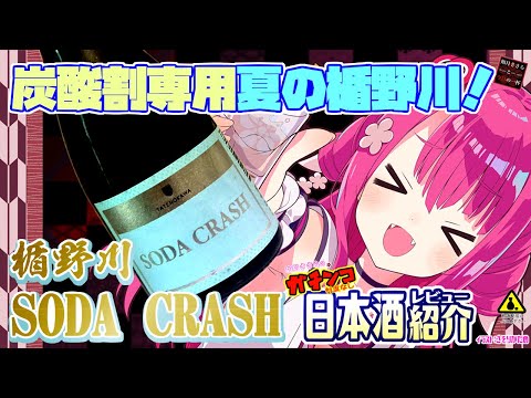 【楯野川】如月ささらのガチンコ日本酒レビュー！【ソーダクラッシュ】