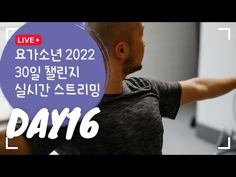 <strong>16일차</strong> | 30분 빈야사 요가 | 2022 30일 요가 챌린지