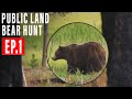 BLACK BEAR IN GRIZZ COUNTRY | PUBLIC LAND HUNT | E1