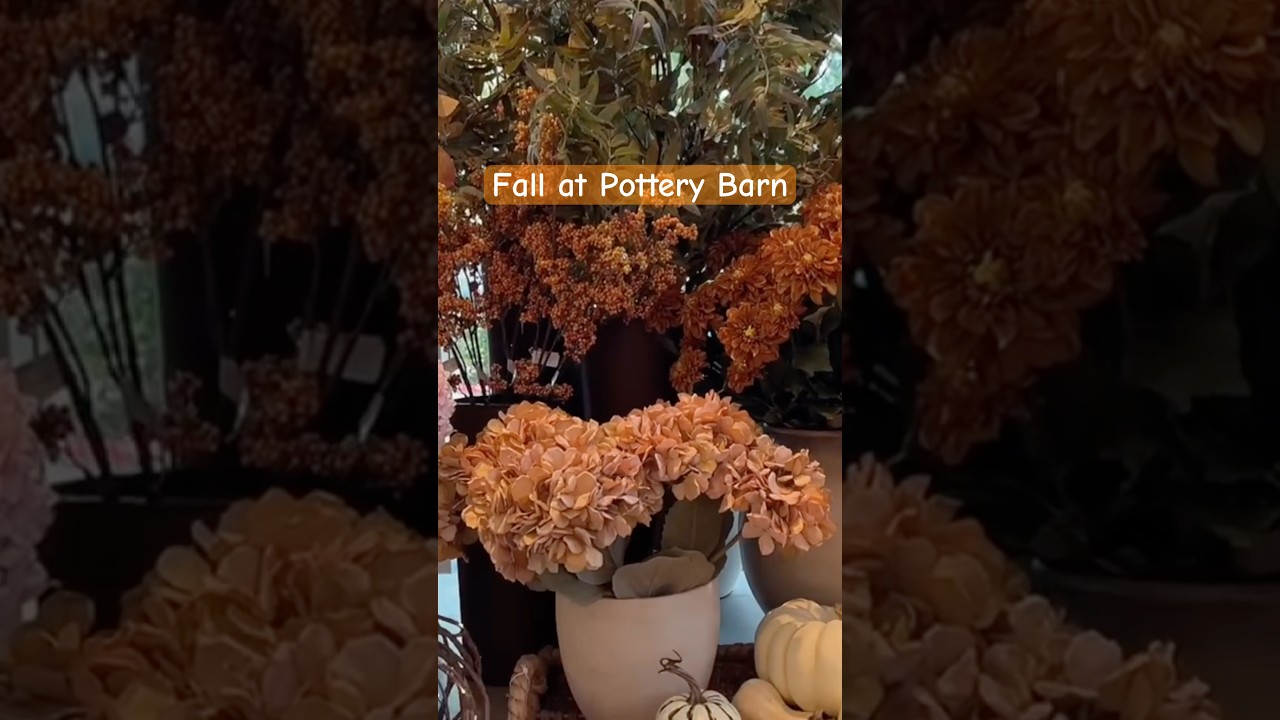 Fall decor 2025 has arrived at Pottery Barn! 