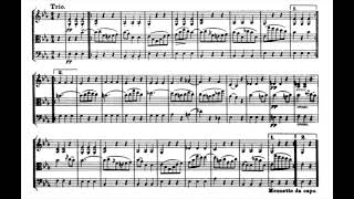 Schubert String Trio No.2 D581 B flat major 舒伯特 弦樂三重奏 第2號 581 Score Sheet 譜 樂譜 谱 乐谱 Partitura 【Kero】