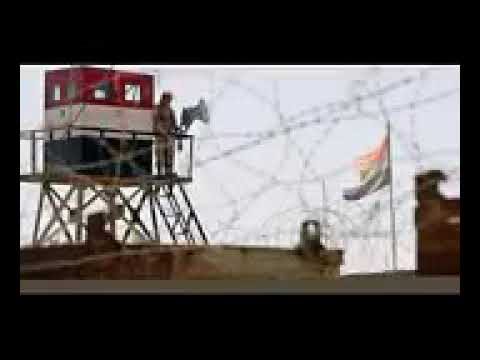 يارايح على صحراء سيناء