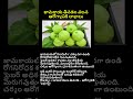 జామకాయ తింటే ఇన్ని లాభాలా? | ఈ ప్రయోజనాలు తెలుసా? 😲
