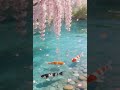 colorful koi fish swim 🔥 #relaxingmusic #stressrelief #sleepmusic #meditationmusic #ambientmusic
