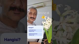 Müzik ritim kulağı testi #gitar #piano#hangsi#keşfet #konservatuvarahazırlık #güzelsanatlarahazırlık