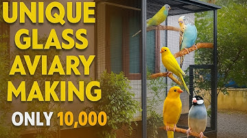 Home Aviary Making Video In 1 Minutes I DIY | Time Lapse I Bird Cage | Aviaries I Exotic Birds