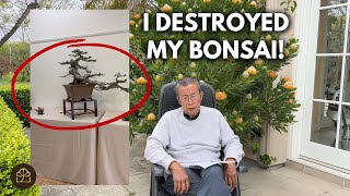 John Naka Rejected My First Show Bonsai | Q&A by Bonsai Heirloom 8,464 views 1 month ago 11 minutes, 13 seconds