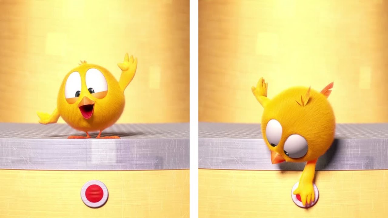 What Will It Do? | Where's Chicky? | Cartoon Collection in English for Kids | New episodes