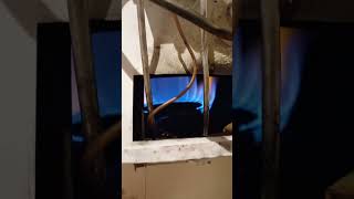 Molee Moleeeeee Moleeeeee Moleeeeeee. Entonces Moleeee Moleeee Moleeeee Moleeeeeeeeeeeeeeeee