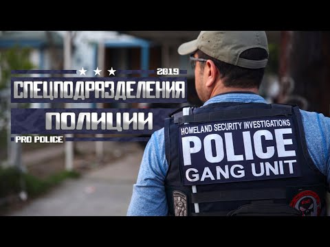 Спецподразделения полиции США: Гэнг-Сквад