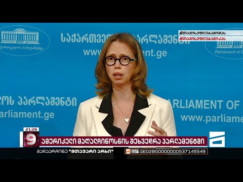 სახდეპის მაღალჩინოსანი ოპოზიციის წევრებს ხვდება | კარა მაკდონალდის ვიზიტი საქართველოში