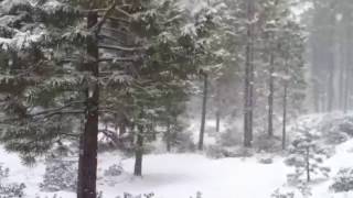 March 31, 2012 snow m4v