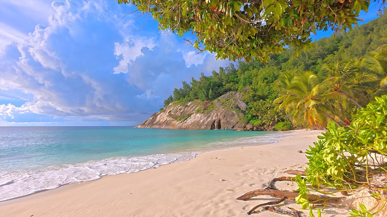 Gentle Waves on The Luxury Beach. Ocean Ambience 4K