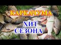 КАРКАЧУМА ХИТ СЕЗОНА несколько лет от не дуреет вся рыба  СУПЕР Рыболовная насадка для КАРАСЯ КАРПА