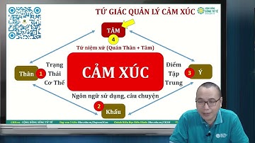 Tứ giác Quản Lý Cảm Xúc