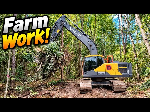 Expanding The Hay Field! Clearing Day