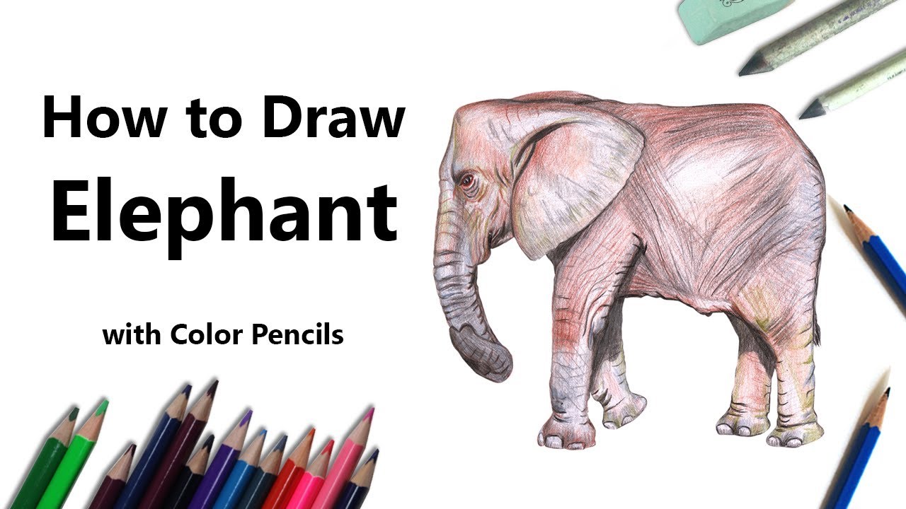 Elephant Color Pencils YouTube - YouTube