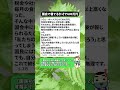 国会で寝てるだけで600万円#国会議員 #ボーナス #税金 #年金生活 #物価高 #増税 #社会保障 #政治 #暮らし #日本の未来
