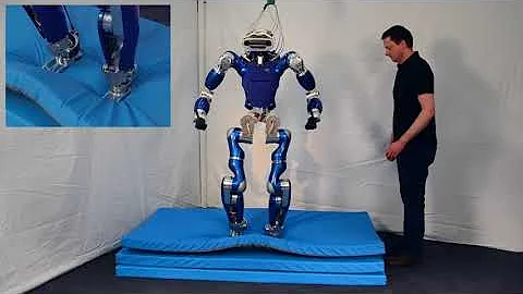 Passivity-based whole-body balancing for torque-controlled humanoid robots
