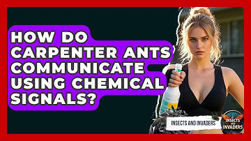 How Do Carpenter Ants Communicate Using Chemical Signals? - Insects and Invaders