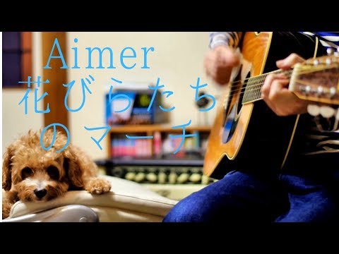 Aimer 『花びらたちのマーチ』（アコギカヴァー）