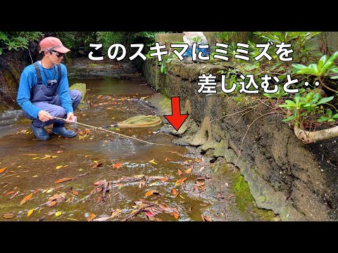 水深7センチ、距離1mのウナギの穴釣りが面白い！