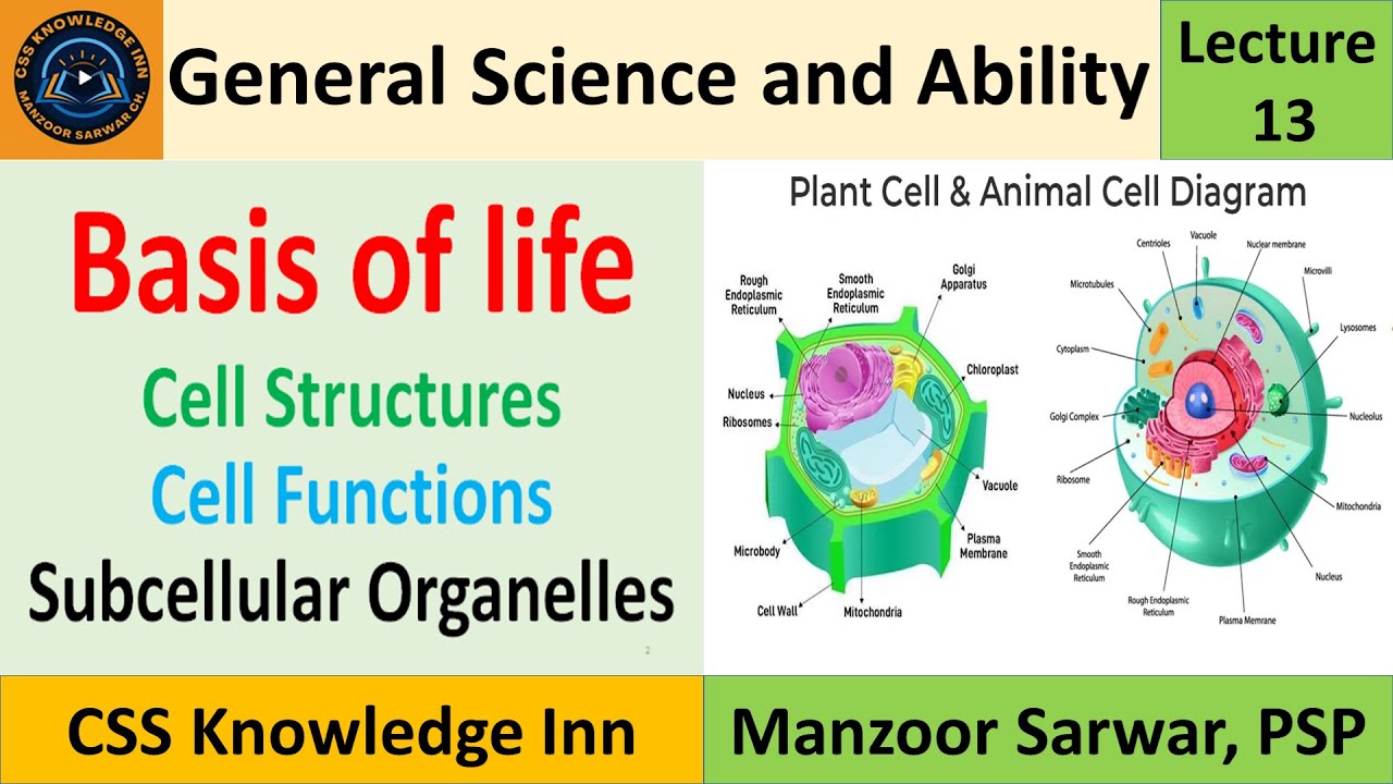 Basis of Life | Cell structure | Cell functions | Animal and plant cells |