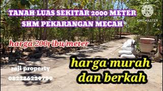 Tanah luas hsmpir 2000 meter shm pekarangan ( investasi / hunian nyaman)@raji propeery channel