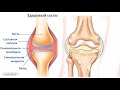 СУСТАВЫ БУДУТ РАБОТАТЬ КАК НОВЫЕ ЕСЛИ .../ АРТРОЗ причины , как сохранить суставы здоровыми ?