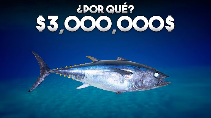 ¿Por qué este pez cuesta millones de dolares?