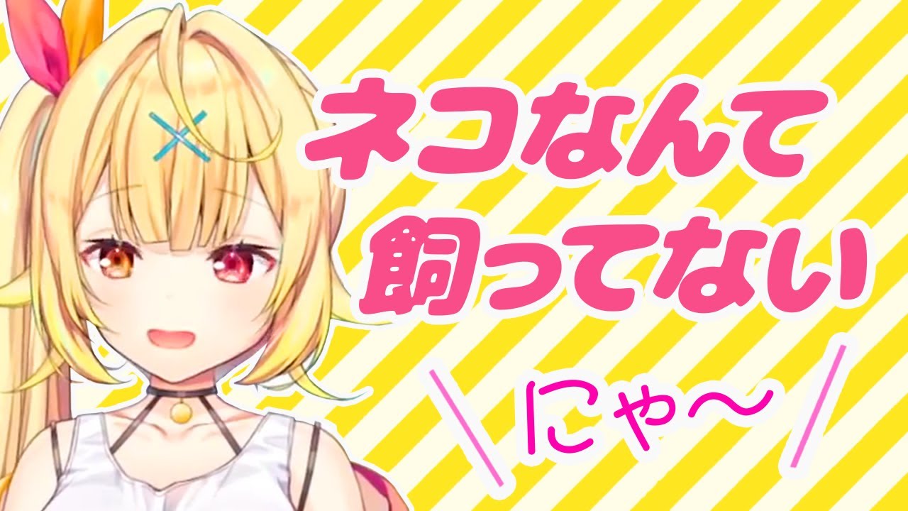 本当は猫を飼ってるのに、自分の力で配信を盛り上げたいからリスナーにバレないように隠す星川サラ、そして今日（9月23日）の配信は頭痛でお休みするみたい。無理せずゆっくり休んで元気になってね。