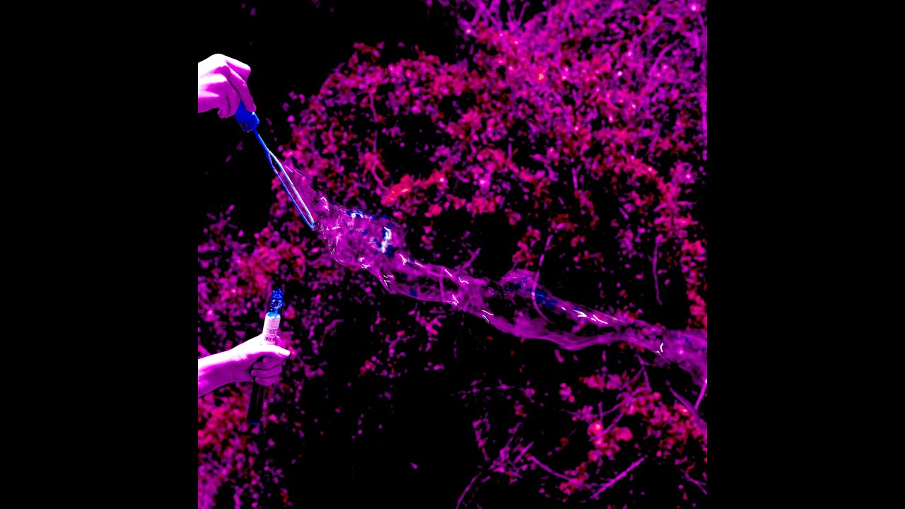 Micah Callari - POST-MORTEM (ft. Cold Circulation) [OFFICIAL AUDIO STREAM]