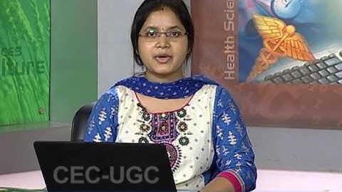 Wireless Multimedia Network