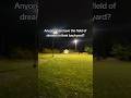 Field of dreams! #fieldofdreams #lights #backyard #puppy #dog